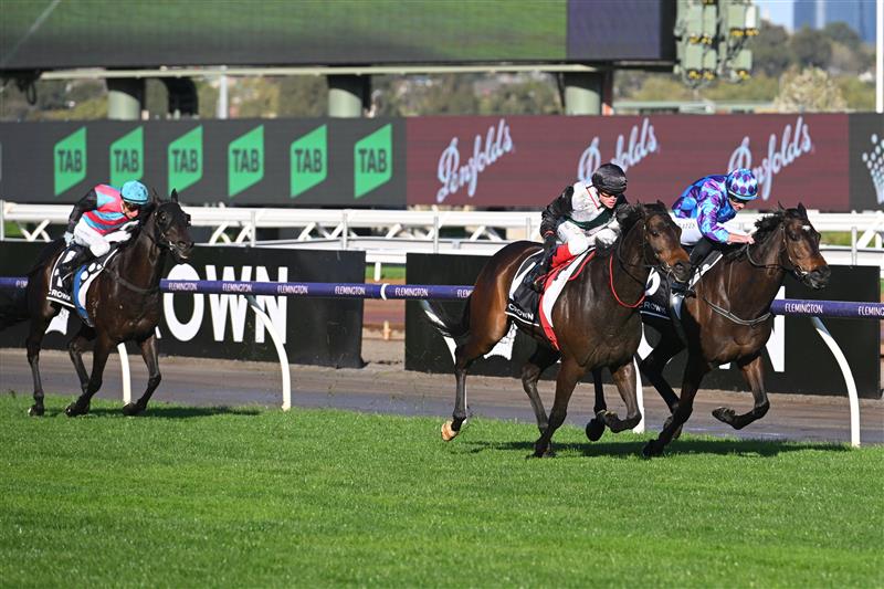 MELBOURNE, AUSTRALIA - SEPTEMBER 14: Craig Williams riding Mr Brightside defeats Declan Bates riding Pride of Jenni in Race 8, the Crown Makybe Diva Stakes - Betting Odds, during Melbourne Racing at Flemington Racecourse on September 14, 2024 in Melbourne, Australia. Third placing was Antino. (Photo by Vince Caligiuri/Getty Images)