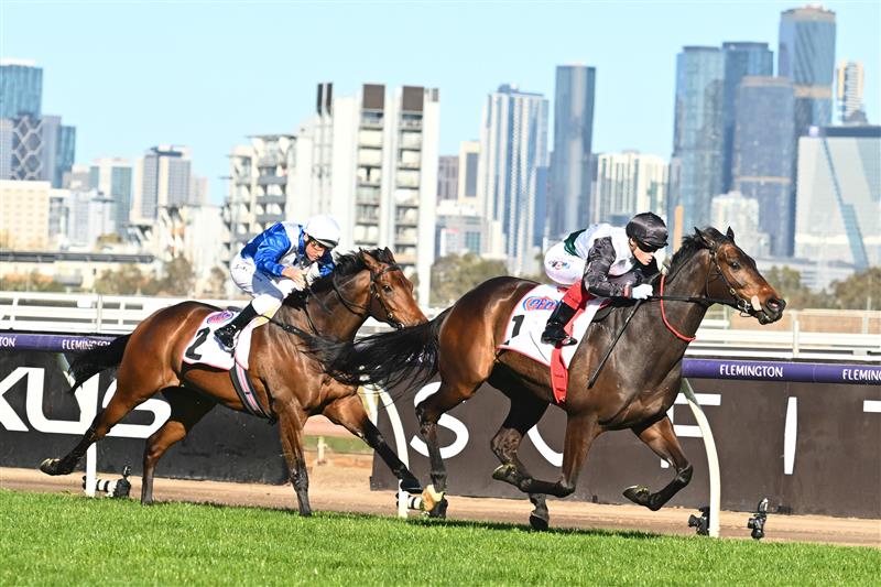 MELBOURNE, AUSTRALIA - SEPTEMBER 16: Craig Williams riding Mr Brightside defeats Damien Oliver riding Alligator Blood in Race 7, the Pfd Food Services Makybe Diva Stakes, during Melbourne Racing at Flemington Racecourse on September 16, 2023 in Melbourne, Australia. (Photo by Vince Caligiuri/Getty Images)