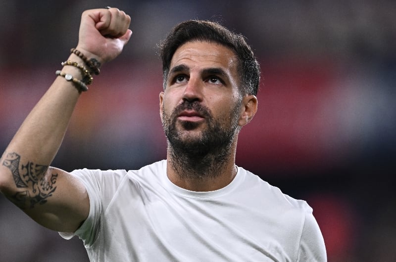 UCL Preview