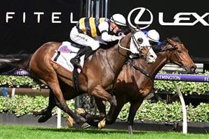 MELBOURNE, AUSTRALIA - SEPTEMBER 10: Mark Zahra riding I'm Thunderstruck wins the 2023 Makybe Diva Stakes. (Getty)