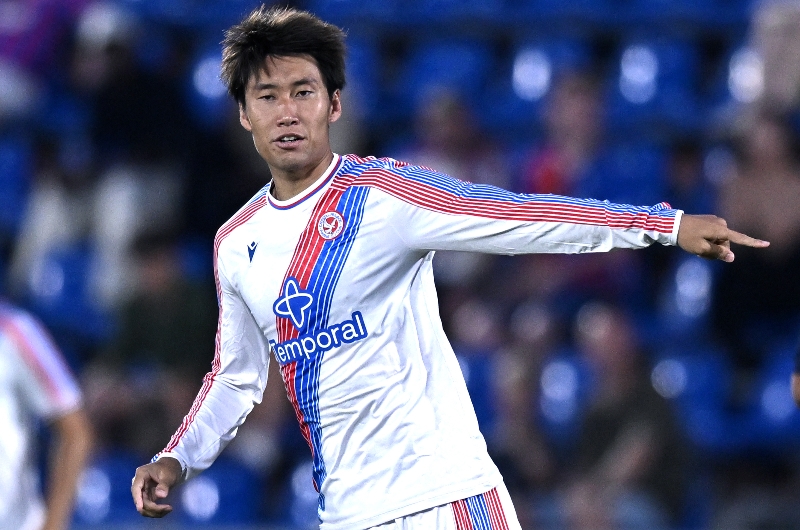 Palace Improving
