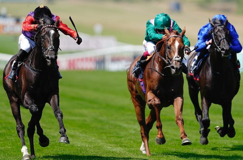 point of law newmarket