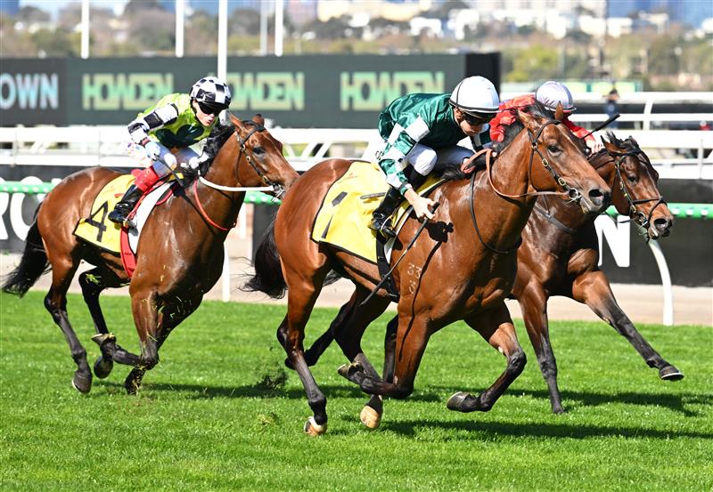 MELBOURNE, AUSTRALIA - SEPTEMBER 12: Jason Collett riding Paradoxium winning race 4, the Schweppes Poseidon Stakes during Melbourne Racing at Flemington Racecourse on September 12, 2026 in Melbourne, Australia. (Photo by Vince Caligiuri/Getty Images)