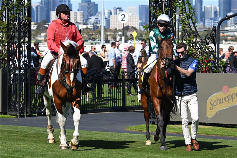 MELBOURNE, AUSTRALIA - SEPTEMBER 12: Jason Collett after riding Paradoxium to win race 4, the Schweppes Poseidon Stakes during Melbourne Racing at Flemington Racecourse on September 12, 2026 in Melbourne, Australia. (Photo by Vince Caligiuri/Getty Images)