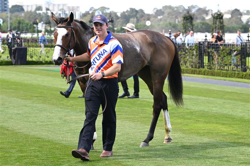 MELBOURNE, AUSTRALIA - SEPTEMBER 12: Mark Zahra riding  Lara Antipova winning race 2, the Michael Moroney during Melbourne Racing at Flemington Racecourse on September 12, 2026 in Melbourne, Australia. (Photo by Vince Caligiuri/Getty Images)