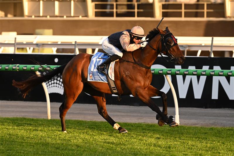 MELBOURNE, AUSTRALIA - SEPTEMBER 12: Logan Bates riding St Lawrence winning Race 10 during Melbourne Racing at Flemington Racecourse on September 12, 2026 in Melbourne, Australia. (Photo by Vince Caligiuri/Getty Images)