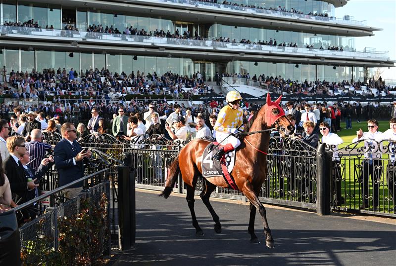 MELBOURNE, AUSTRALIA - SEPTEMBER 12: Craig Williams riding Sir Delius to the barriers before race 8, the Crown Makybe Diva Stakes during Melbourne Racing at Flemington Racecourse on September 12, 2026 in Melbourne, Australia. (Photo by Vince Caligiuri/Getty Images)