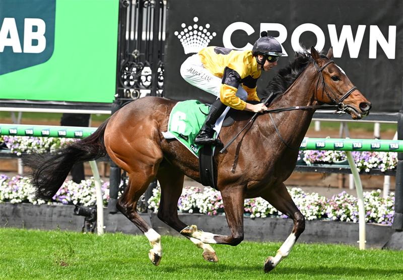MELBOURNE, AUSTRALIA - SEPTEMBER 12: Damian Lane riding Jett Smash winning race 1, the TAB We're On Handicap during Melbourne Racing at Flemington Racecourse on September 12, 2026 in Melbourne, Australia. (Getty)