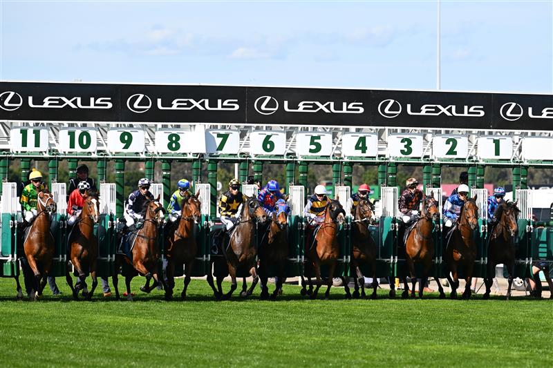 MELBOURNE, AUSTRALIA - SEPTEMBER 12: Harry Coffey riding Shockletz out of barrier three before winning race 5, the Lexus Archer Stakes during Melbourne Racing at Flemington Racecourse on September 12, 2026 in Melbourne, Australia. (Photo by Vince Caligiuri/Getty Images)