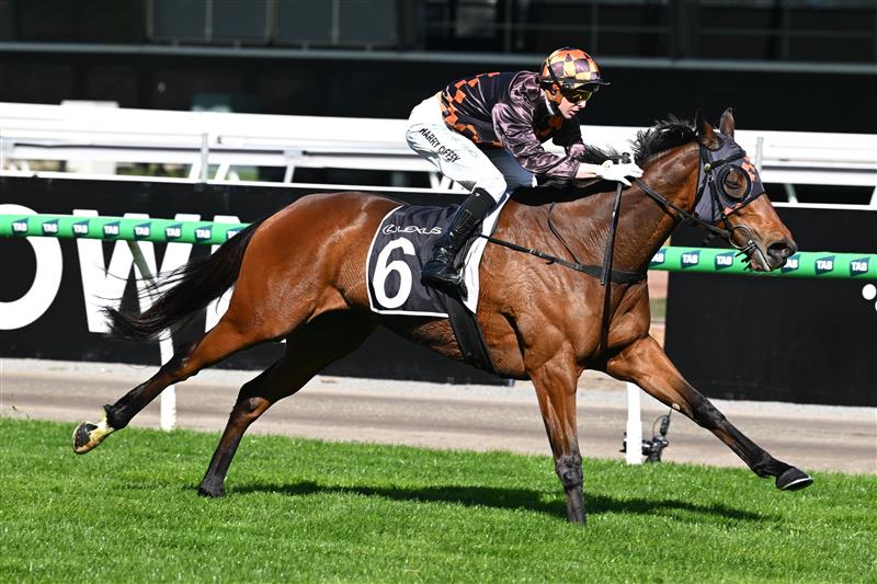 MELBOURNE, AUSTRALIA - SEPTEMBER 12: Harry Coffey riding  Shockletz winning race 5, the Lexus Archer Stakes during Melbourne Racing at Flemington Racecourse on September 12, 2026 in Melbourne, Australia. (Photo by Vince Caligiuri/Getty Images)