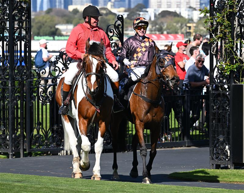 MELBOURNE, AUSTRALIA - SEPTEMBER 12: Harry Coffey after riding Shockletz to win race 5, the Lexus Archer Stakes during Melbourne Racing at Flemington Racecourse on September 12, 2026 in Melbourne, Australia. (Photo by Vince Caligiuri/Getty Images)