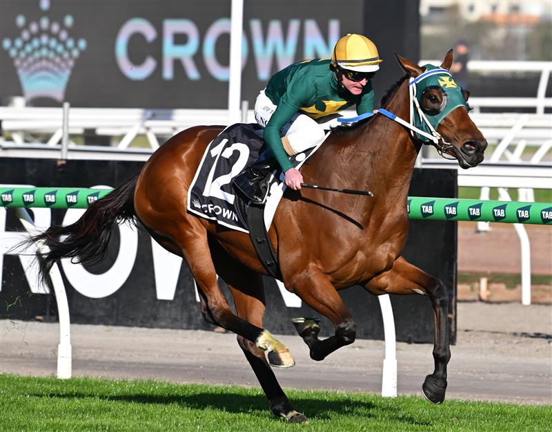 MELBOURNE, AUSTRALIA - SEPTEMBER 12: Luke Nolen riding Sheza Alibi winning race 8, the Crown Makybe Diva Stakes during Melbourne Racing at Flemington Racecourse on September 12, 2026 in Melbourne, Australia. (Photo by Vince Caligiuri/Getty Images)