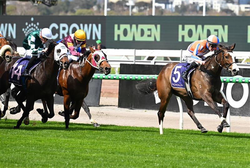 MELBOURNE, AUSTRALIA - SEPTEMBER 12: Mark Zahra riding  Lara Antipova winning race 2, the Michael Moroney during Melbourne Racing at Flemington Racecourse on September 12, 2026 in Melbourne, Australia. (Photo by Vince Caligiuri/Getty Images)
