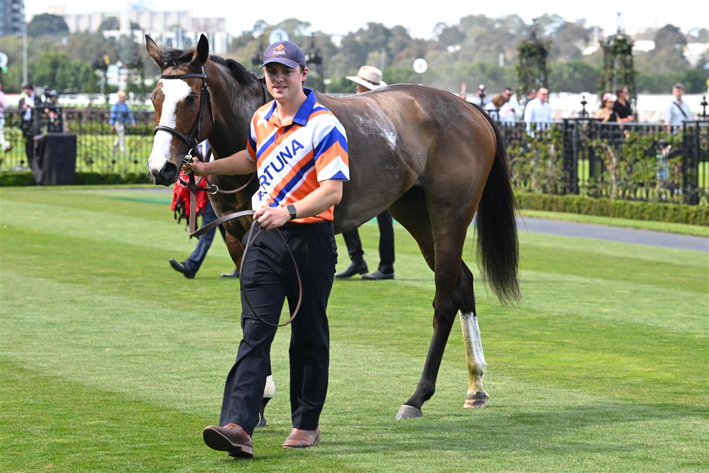 MELBOURNE, AUSTRALIA - SEPTEMBER 12: Mark Zahra riding  Lara Antipova winning race 2, the Michael Moroney during Melbourne Racing at Flemington Racecourse on September 12, 2026 in Melbourne, Australia. (Photo by Vince Caligiuri/Getty Images)