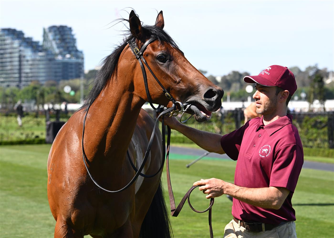 MELBOURNE, AUSTRALIA - SEPTEMBER 12: Satono Glow after winning race 3, the Cap D'Antibes Stakes during Melbourne Racing at Flemington Racecourse on September 12, 2026 in Melbourne, Australia. (Getty)