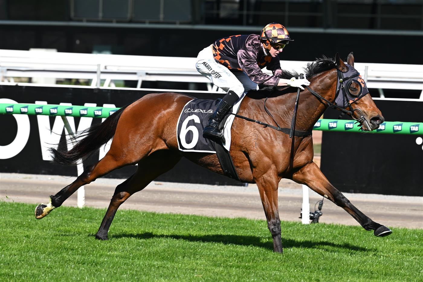 MELBOURNE, AUSTRALIA - SEPTEMBER 12: Harry Coffey riding  Shockletz winning race 5, the Lexus Archer Stakes during Melbourne Racing at Flemington Racecourse on September 12, 2026 in Melbourne, Australia. (Photo by Vince Caligiuri/Getty Images)