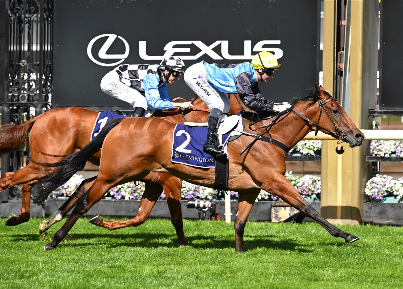 MELBOURNE, AUSTRALIA - SEPTEMBER 12: Jamie Melham riding Satono Glow winning race 3, the Cap D'Antibes Stakes during Melbourne Racing at Flemington Racecourse on September 12, 2026 in Melbourne, Australia. (Getty)