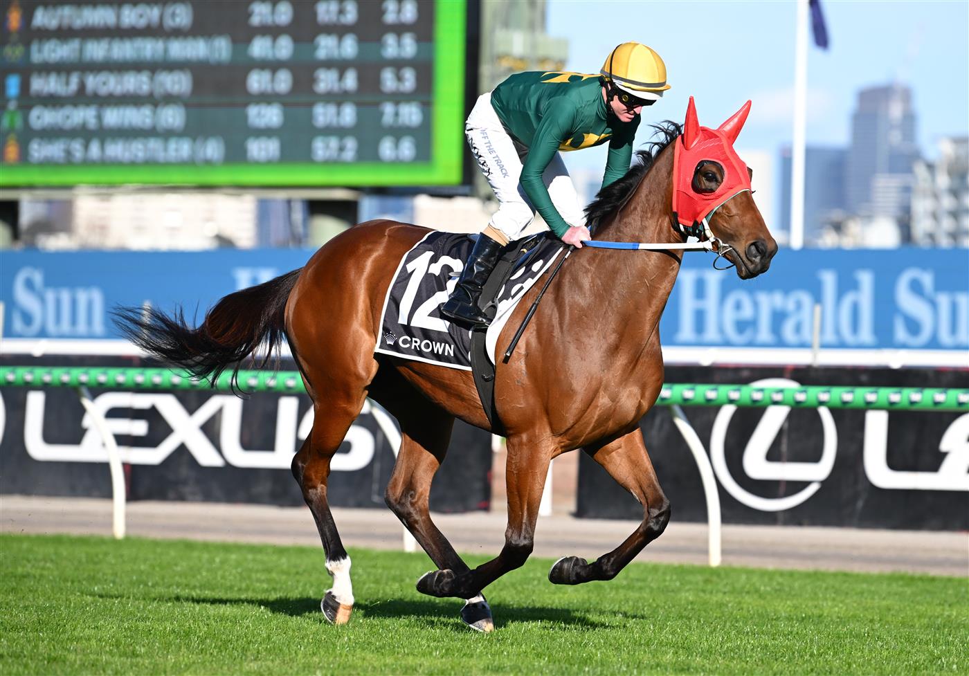 MELBOURNE, AUSTRALIA - SEPTEMBER 12: Luke Nolen riding Sheza Alibi on way to the gates before winning race 8, the Crown Makybe Diva Stakes during Melbourne Racing at Flemington Racecourse on September 12, 2026 in Melbourne, Australia. (Photo by Vince Caligiuri/Getty Images)
