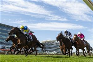 MELBOURNE, AUSTRALIA - SEPTEMBER 12: Craig Newitt riding Welcolmetotheshow winning race 6, the De Bortoli Tontonan Stakes during Melbourne Racing at Flemington Racecourse on September 12, 2026 in Melbourne, Australia. (Photo by Vince Caligiuri/Getty Images)