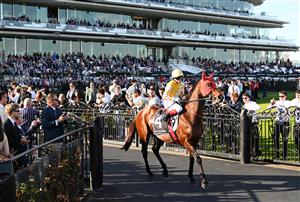 MELBOURNE, AUSTRALIA - SEPTEMBER 12: Craig Williams riding Sir Delius to the barriers before race 8, the Crown Makybe Diva Stakes during Melbourne Racing at Flemington Racecourse on September 12, 2026 in Melbourne, Australia. (Photo by Vince Caligiuri/Getty Images)