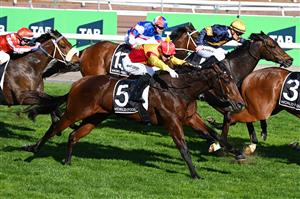 MELBOURNE, AUSTRALIA - SEPTEMBER 12: Harry Coffey riding Oliveanotherday #5 during unplaced finish in race 7, the Hkjc World Pool Bobbie Lewis Quality during Melbourne Racing at Flemington Racecourse on September 12, 2026 in Melbourne, Australia. (Photo by Vince Caligiuri/Getty Images)