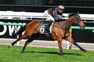 MELBOURNE, AUSTRALIA - SEPTEMBER 12: Harry Coffey riding  Shockletz winning race 5, the Lexus Archer Stakes during Melbourne Racing at Flemington Racecourse on September 12, 2026 in Melbourne, Australia. (Photo by Vince Caligiuri/Getty Images)