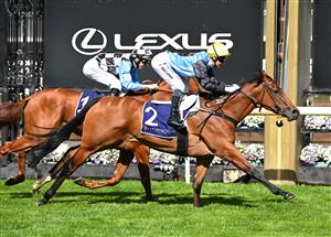 MELBOURNE, AUSTRALIA - SEPTEMBER 12: Jamie Melham riding Satono Glow winning race 3, the Cap D'Antibes Stakes during Melbourne Racing at Flemington Racecourse on September 12, 2026 in Melbourne, Australia. (Getty)