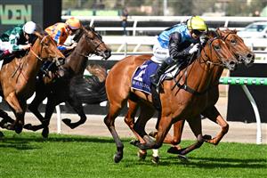 MELBOURNE, AUSTRALIA - SEPTEMBER 12: Jamie Melham riding Satono Glow winning race 3, the Cap D'Antibes Stakes during Melbourne Racing at Flemington Racecourse on September 12, 2026 in Melbourne, Australia. (Getty)