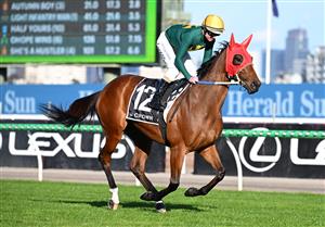 MELBOURNE, AUSTRALIA - SEPTEMBER 12: Luke Nolen riding Sheza Alibi on way to the gates before winning race 8, the Crown Makybe Diva Stakes during Melbourne Racing at Flemington Racecourse on September 12, 2026 in Melbourne, Australia. (Photo by Vince Caligiuri/Getty Images)