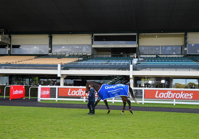 MELBOURNE, AUSTRALIA - SEPTEMBER 25: Zaaki after winning Race 7, the Quayclean Underwood Stakes,  during Melbourne Racing at Sandown Racecourse on September 25, 2021 in Melbourne, Australia. (Photo by Vince Caligiuri/Getty Images)