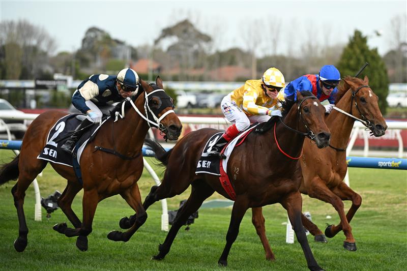 MELBOURNE, AUSTRALIA - SEPTEMBER 20: Craig Williams riding Sir Delius defeats Blake Shinn riding Buckaroo and Jordan Childs riding Golden Path (r) in Race 7, the Sen Underwood Stakes during Melbourne Racing at Caulfield Racecourse on September 20, 2025 in Melbourne, Australia. (Photo by Vince Caligiuri/Getty Images)