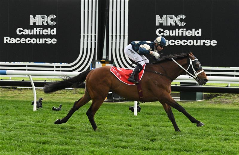 MELBOURNE, AUSTRALIA - SEPTEMBER 21: Joao Moreira riding Buckaroo winning Race 8, the Henley Homes Underwood Stakes - Betting Odds during Melbourne Racing at Caulfield Racecourse on September 21, 2024 in Melbourne, Australia. (Photo by Vince Caligiuri/Getty Images)