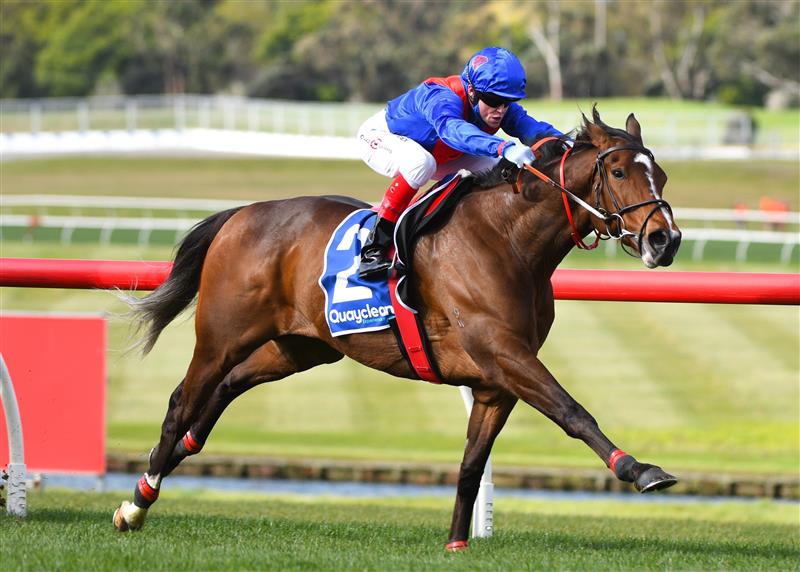 MELBOURNE, AUSTRALIA - SEPTEMBER 25: Craig Williams riding Zaaki winning Race 7, the Quayclean Underwood Stakes,  during Melbourne Racing at Sandown Racecourse on September 25, 2021 in Melbourne, Australia. (Photo by Vince Caligiuri/Getty Images)