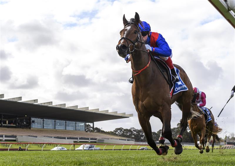 MELBOURNE, AUSTRALIA - SEPTEMBER 25: Craig Williams riding Zaaki winning Race 7, the Quayclean Underwood Stakes,  during Melbourne Racing at Sandown Racecourse on September 25, 2021 in Melbourne, Australia. (Photo by Vince Caligiuri/Getty Images)