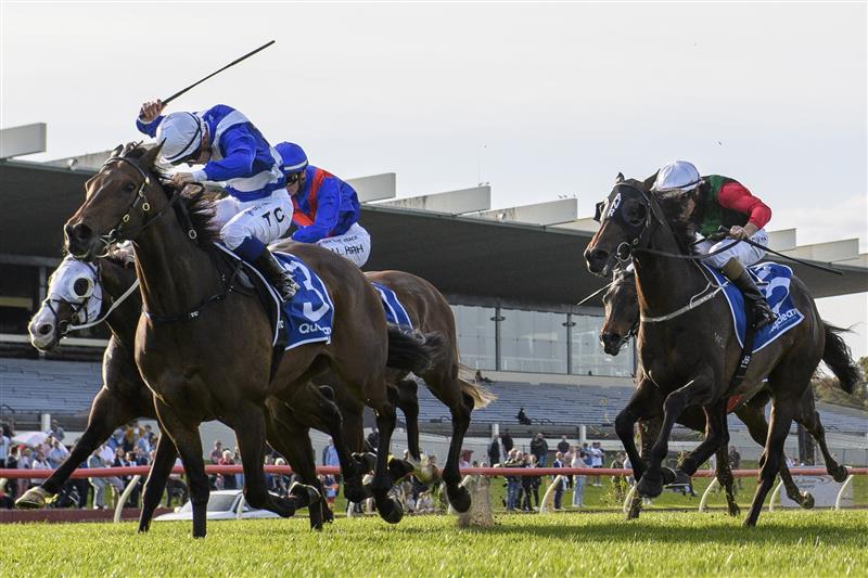 MELBOURNE, AUSTRALIA - SEPTEMBER 25: Tim Clark riding Alligator Blood winning Race 7, the Quayclean Underwood Stakes, during Melbourne Racing at Sandown Hillside on September 25, 2022 in Melbourne, Australia. (Photo by Vince Caligiuri/Getty Images)