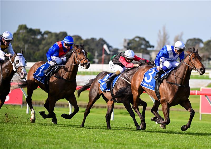MELBOURNE, AUSTRALIA - SEPTEMBER 25: Tim Clark riding Alligator Blood winning Race 7, the Quayclean Underwood Stakes, during Melbourne Racing at Sandown Hillside on September 25, 2022 in Melbourne, Australia. (Photo by Vince Caligiuri/Getty Images)