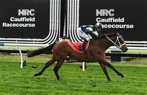 MELBOURNE, AUSTRALIA - SEPTEMBER 21: Joao Moreira riding Buckaroo winning Race 8, the Henley Homes Underwood Stakes - Betting Odds during Melbourne Racing at Caulfield Racecourse on September 21, 2024 in Melbourne, Australia. (Photo by Vince Caligiuri/Getty Images)