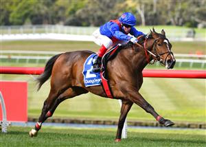 MELBOURNE, AUSTRALIA - SEPTEMBER 25: Craig Williams riding Zaaki winning Race 7, the Quayclean Underwood Stakes,  during Melbourne Racing at Sandown Racecourse on September 25, 2021 in Melbourne, Australia. (Photo by Vince Caligiuri/Getty Images)