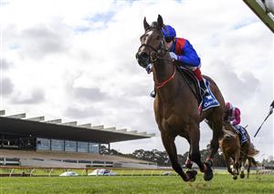 MELBOURNE, AUSTRALIA - SEPTEMBER 25: Craig Williams riding Zaaki winning Race 7, the Quayclean Underwood Stakes,  during Melbourne Racing at Sandown Racecourse on September 25, 2021 in Melbourne, Australia. (Photo by Vince Caligiuri/Getty Images)