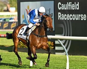 MELBOURNE, AUSTRALIA - SEPTEMBER 23: Damien Oliver riding Alligator Blood  winning Race 9, the Live Life Foundation Underwood Stakes, during Melbourne Racing at Caulfield Racecourse on September 23, 2023 in Melbourne, Australia. (Photo by Vince Caligiuri/Getty Images)