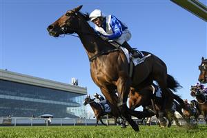 MELBOURNE, AUSTRALIA - SEPTEMBER 23: Damien Oliver riding Alligator Blood  winning Race 9, the Live Life Foundation Underwood Stakes, during Melbourne Racing at Caulfield Racecourse on September 23, 2023 in Melbourne, Australia. (Photo by Vince Caligiuri/Getty Images)