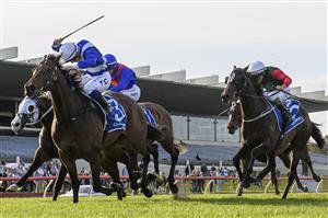 MELBOURNE, AUSTRALIA - SEPTEMBER 25: Tim Clark riding Alligator Blood winning Race 7, the Quayclean Underwood Stakes, during Melbourne Racing at Sandown Hillside on September 25, 2022 in Melbourne, Australia. (Photo by Vince Caligiuri/Getty Images)