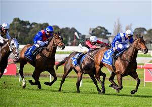 MELBOURNE, AUSTRALIA - SEPTEMBER 25: Tim Clark riding Alligator Blood winning Race 7, the Quayclean Underwood Stakes, during Melbourne Racing at Sandown Hillside on September 25, 2022 in Melbourne, Australia. (Photo by Vince Caligiuri/Getty Images)