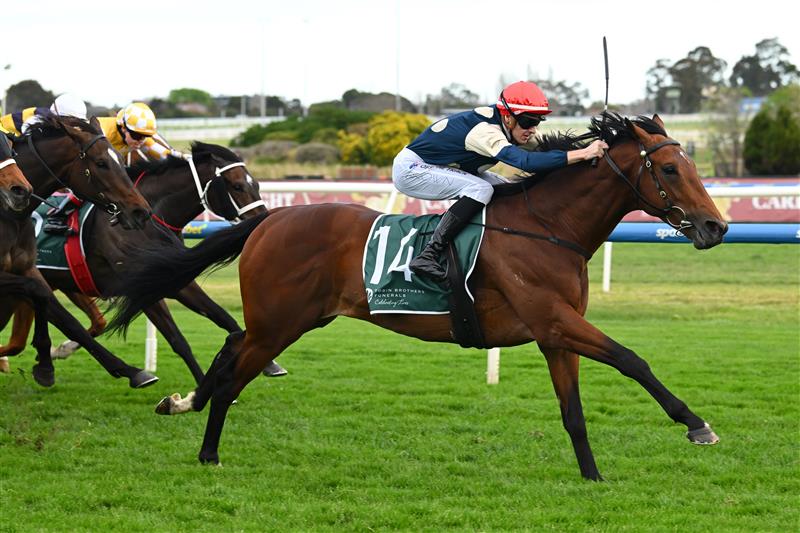 MELBOURNE, AUSTRALIA - SEPTEMBER 19: Ethan Brown riding Zahrann winning race 8, the Tobin Brothers Naturalism Stakes  during Melbourne Racing at Caulfield Racecourse on September 19, 2026 in Melbourne, Australia. (Photo by Vince Caligiuri/Getty Images)