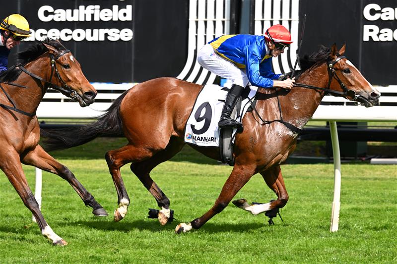 MELBOURNE, AUSTRALIA - SEPTEMBER 19: Ethan Brown riding Icelady winning race 4, the Manhari Thousand Guineas Prelude  during Melbourne Racing at Caulfield Racecourse on September 19, 2026 in Melbourne, Australia. (Photo by Vince Caligiuri/Getty Images)