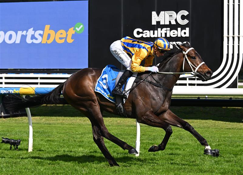 MELBOURNE, AUSTRALIA - SEPTEMBER 19: Blake Shinn riding Blind Raise winning race 5, the Sportsbet Caulfield Guineas Prelude during Melbourne Racing at Caulfield Racecourse on September 19, 2026 in Melbourne, Australia. (Photo by Vince Caligiuri/Getty Images)