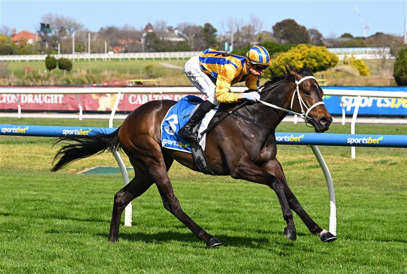 MELBOURNE, AUSTRALIA - SEPTEMBER 19: Blake Shinn riding Blind Raise winning race 5, the Sportsbet Caulfield Guineas Prelude during Melbourne Racing at Caulfield Racecourse on September 19, 2026 in Melbourne, Australia. (Photo by Vince Caligiuri/Getty Images)