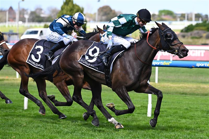 MELBOURNE, AUSTRALIA - SEPTEMBER 19: Jye McNeil riding Quick Finish winning race 2, the Hkjc World Pool Classics Preview during Melbourne Racing at Caulfield Racecourse on September 19, 2026 in Melbourne, Australia. (Photo by Vince Caligiuri/Getty Images)