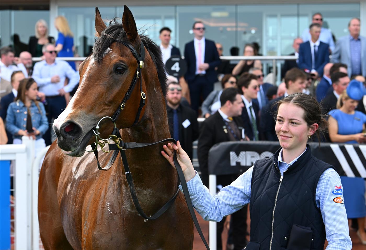 MELBOURNE, AUSTRALIA - SEPTEMBER 19: Icelady after winning race 4, the Manhari Thousand Guineas Prelude  during Melbourne Racing at Caulfield Racecourse on September 19, 2026 in Melbourne, Australia. (Photo by Vince Caligiuri/Getty Images)