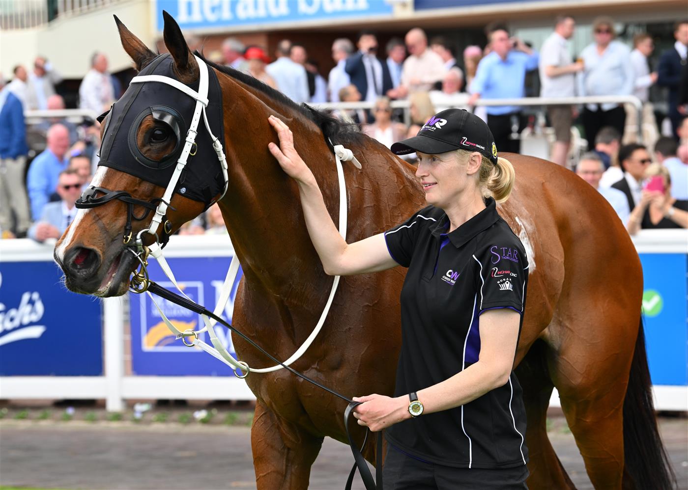 MELBOURNE, AUSTRALIA - SEPTEMBER 19: Birdman after winning race 7, the Henley Homes Underwood Stakes during Melbourne Racing at Caulfield Racecourse on September 19, 2026 in Melbourne, Australia. (Photo by Vince Caligiuri/Getty Images)